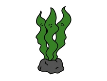 海藻の代表、ワカメのキャラクター